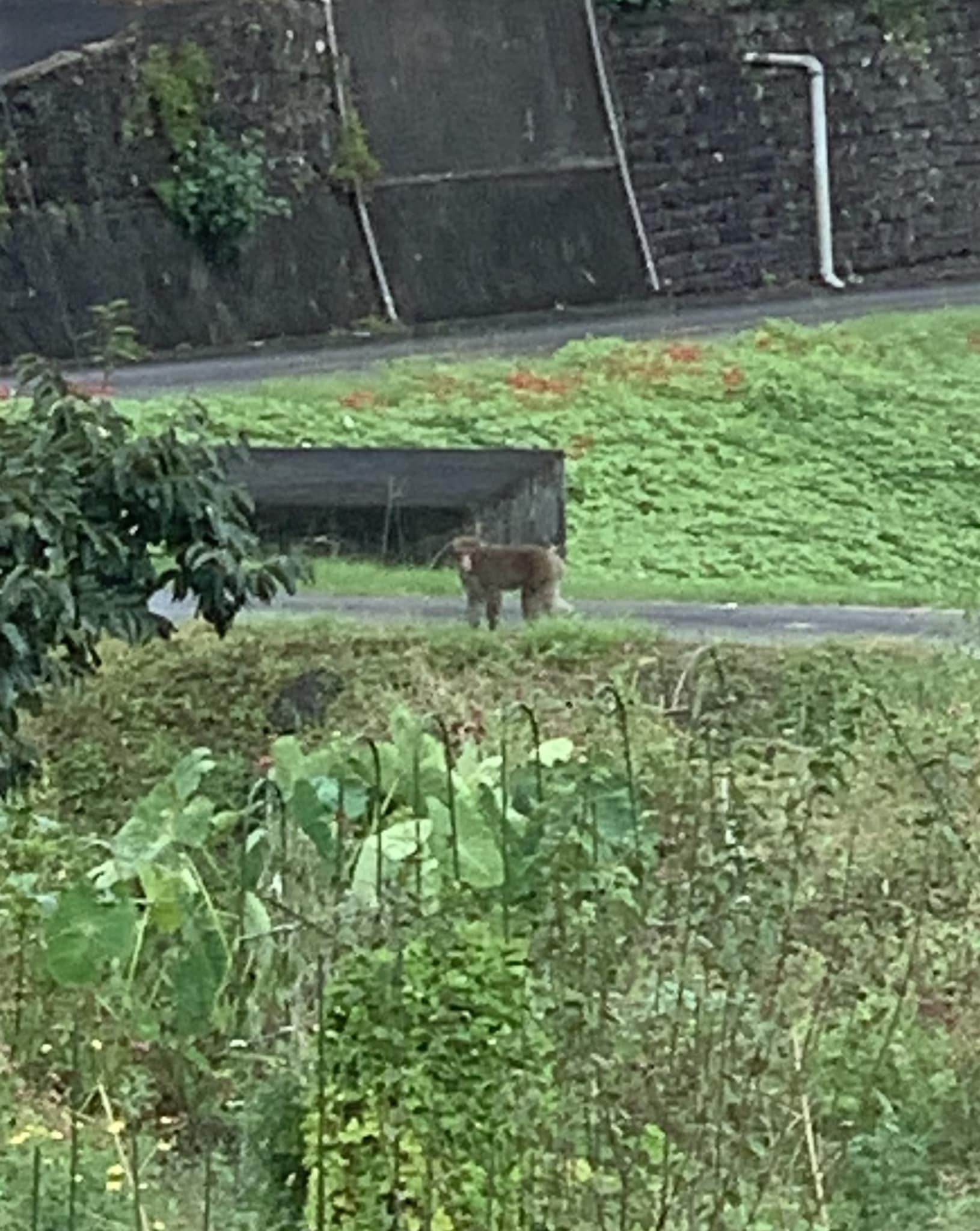 おやつ取った犯人発見！！