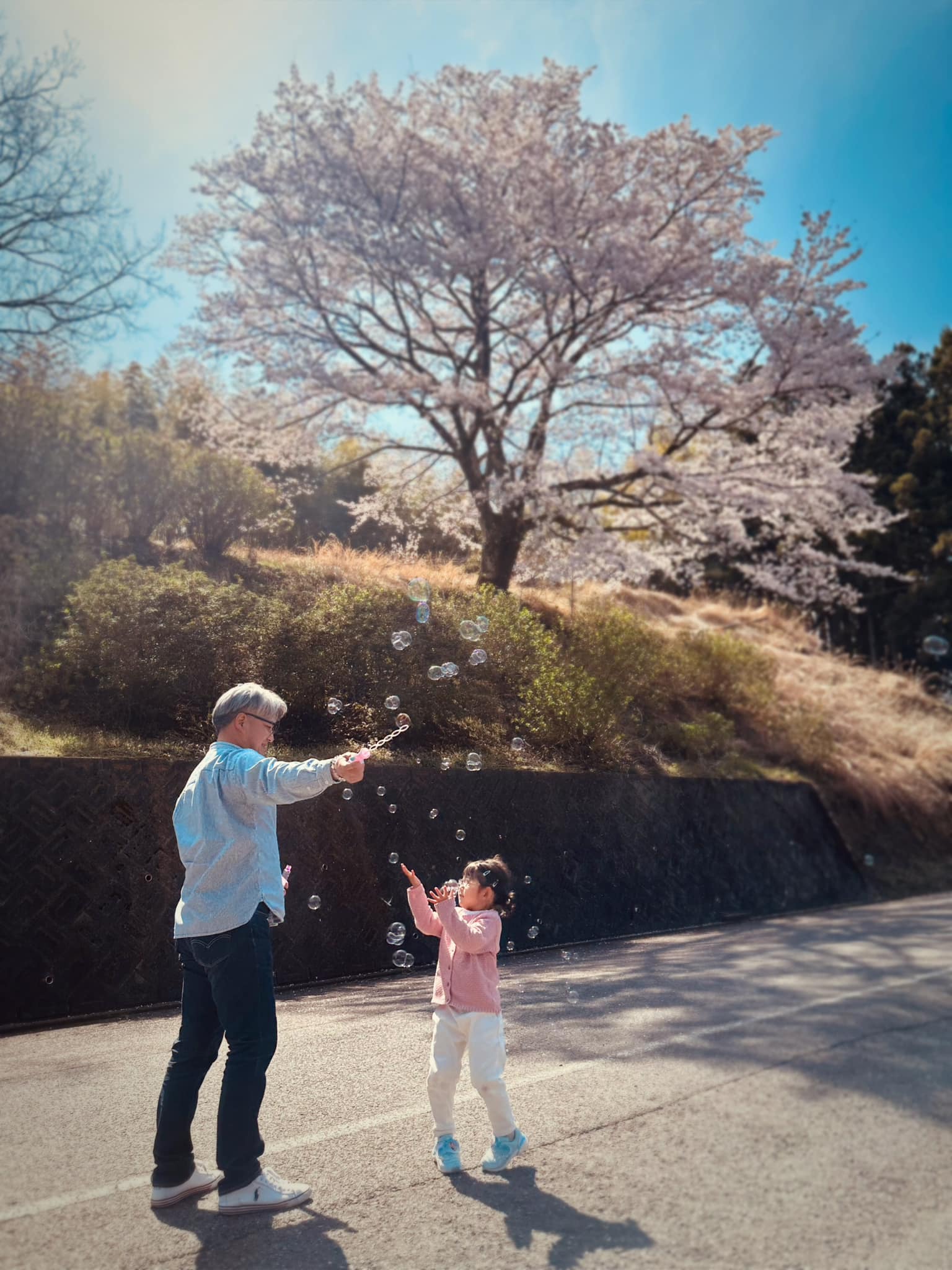 桜の下で♪