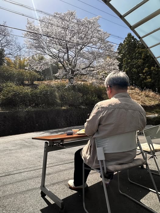 お花見そうめん♪